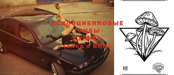 тгк Магас