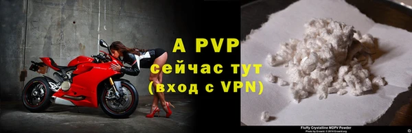 тгк Магас