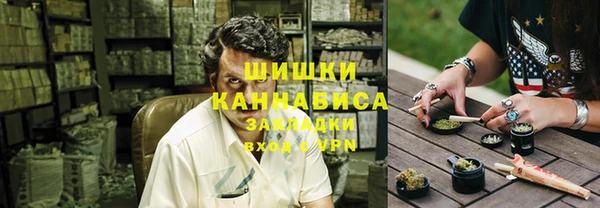стаф Майский