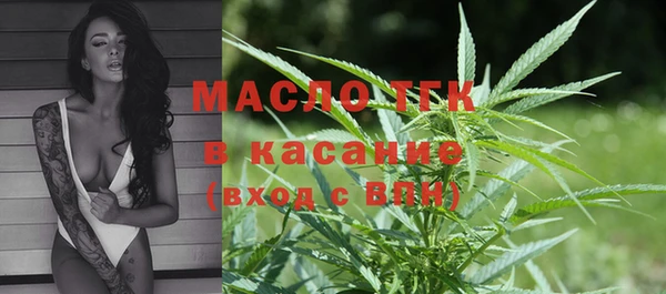 стаф Майский